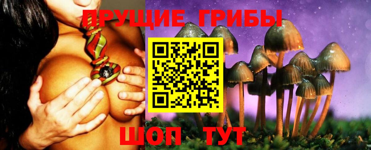 Галлюциногенные грибы Magic Shrooms Коммунар